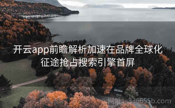 开云app前瞻解析加速在品牌全球化征途抢占搜索引擎首屏