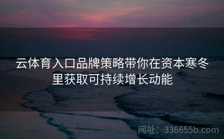 云体育入口品牌策略带你在资本寒冬里获取可持续增长动能