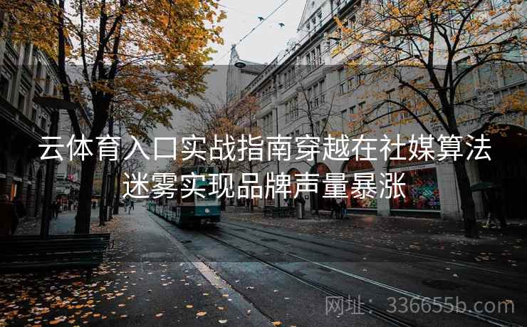 云体育入口实战指南穿越在社媒算法迷雾实现品牌声量暴涨