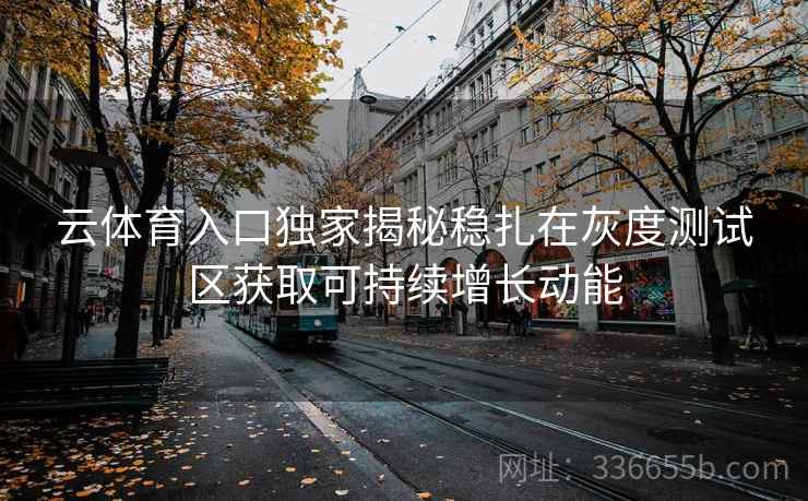 云体育入口独家揭秘稳扎在灰度测试区获取可持续增长动能
