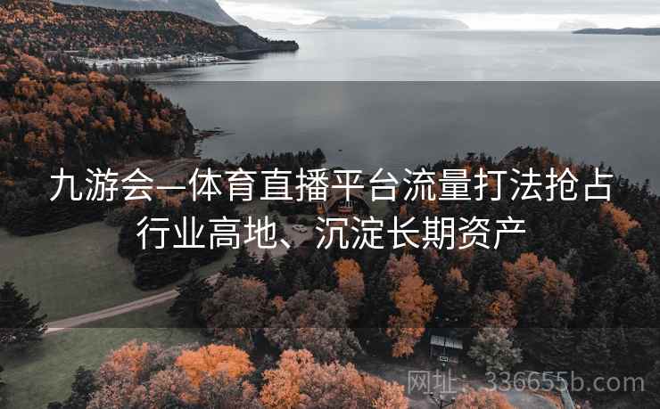 九游会—体育直播平台流量打法抢占行业高地、沉淀长期资产